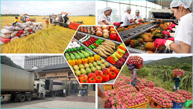 Agricultural products for export hit 2 billion USD